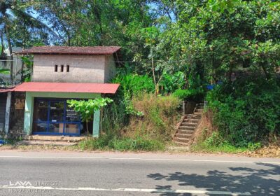 782c99d1-a7d9-4ae5-8c66-83b0ccaa91d2