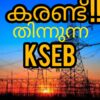 കരണ്ട് തിന്നുന്ന വൈദ്യുതി വകുപ്പ്