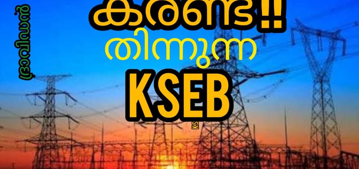കരണ്ട് തിന്നുന്ന വൈദ്യുതി വകുപ്പ്