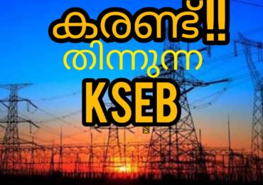 കരണ്ട് തിന്നുന്ന വൈദ്യുതി വകുപ്പ്