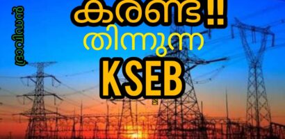 കരണ്ട് തിന്നുന്ന വൈദ്യുതി വകുപ്പ്