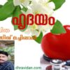 ഹൃദയം