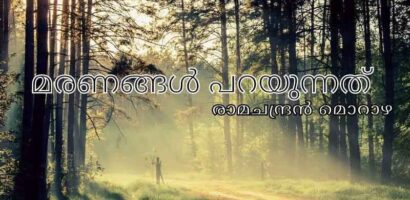 മരണങ്ങൾ പറയുന്നത്