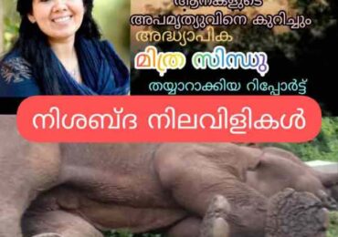 നിശ്ശബ്ദ നിലവിളികൾ  (അട്ടപ്പാടിയിലെ കർഷകരുടെ ദുരിത ജീവിതവും ആനകളുടെ അപമൃത്യുവും )