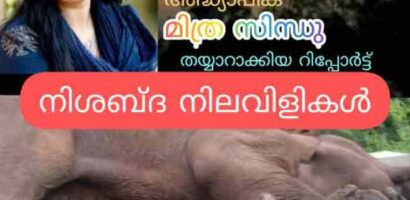 നിശ്ശബ്ദ നിലവിളികൾ  (അട്ടപ്പാടിയിലെ കർഷകരുടെ ദുരിത ജീവിതവും ആനകളുടെ അപമൃത്യുവും )