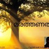 മരത്തണൽ