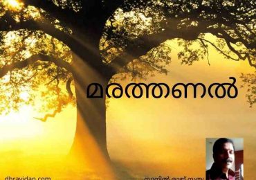 മരത്തണൽ