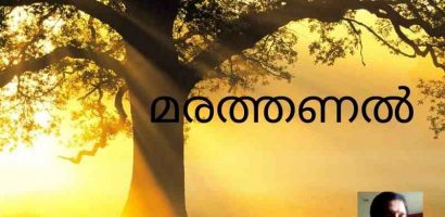 മരത്തണൽ