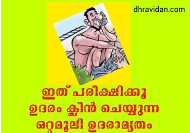 ഇത് പരീക്ഷിക്കൂ ഉദരം ക്ലീൻ ചെയ്യുന്ന ഒറ്റമൂലി ഉദരാമൃതം