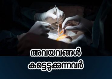 അവയവങ്ങൾ കട്ടെടുക്കുന്നവർ