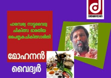 പാരമ്പ്യര നാട്ടുവൈദ്യം, ഭാരതീയ പൈതൃക ചികിത്സാരീതി