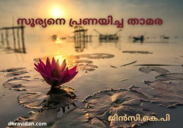 സൂര്യനെ പ്രണയിച്ച താമര
