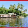 കേരളത്തിൻ്റെ പൈതൃക ടൂറിസം കുമരകം വിദേശസഞ്ചാരികളെ ആകർഷിക്കുന്നു