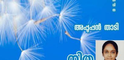 അപ്പൂപ്പൻ താടി