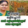 കടുവയും ഒളിച്ചോടി