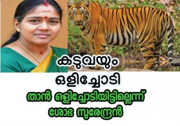 കടുവയും ഒളിച്ചോടി