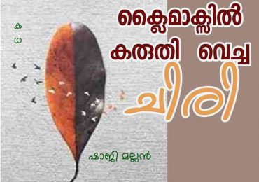 ക്ലൈമാക്സിൽ കരുതിവെച്ച ചിരി..