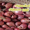 വീട്ടമ്മമാർക്കായ് വീട്ടിലൊരു ഉള്ളി കൃഷി