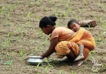 വറ്റാത്ത സമുദ്രങ്ങൾ.