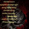 കനൽപ്പൂക്കൾ