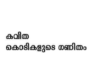 കൊടികളുടെ ഗണിതം