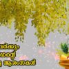എല്ലാവർക്കും ദ്രാവിഡന്റെ വിഷുആശംസകൾ