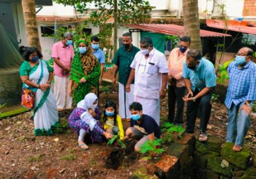 കോവിഡിൽ പൊലിഞ്ഞ ജീവിതങ്ങൾക്ക് സ്മരണാഞ്ജലിയായി വൃക്ഷത്തൈകൾ നട്ടു